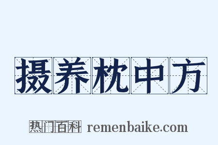 摄养枕中方是什么意思的图片